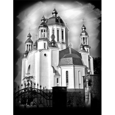 Задняя сторона 11